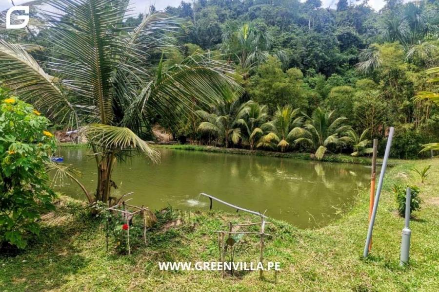 Foto Terreno en Venta en Laguna de SAUCE- Tarapoto, Sauce - Tarapoto, San Martin - U$D 650.000 - TEV36455 - BienesOnLine