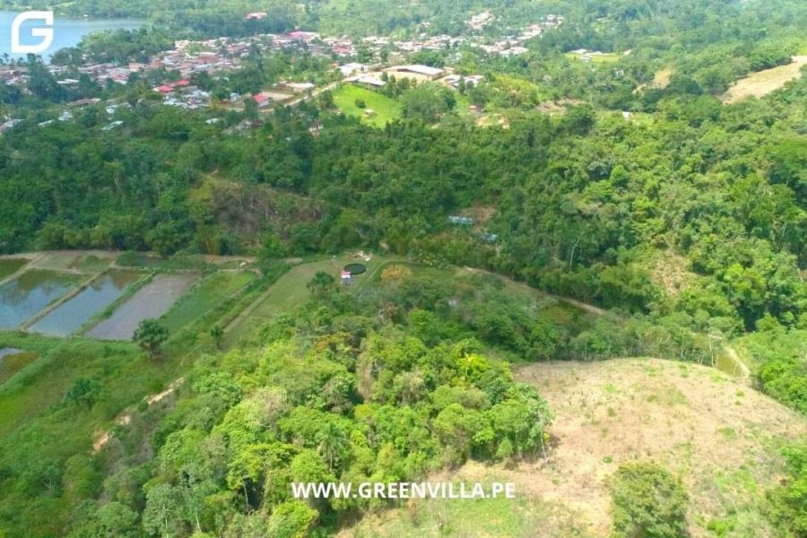 Foto Terreno en Venta en Laguna de SAUCE- Tarapoto, Sauce - Tarapoto, San Martin - U$D 650.000 - TEV36456 - BienesOnLine