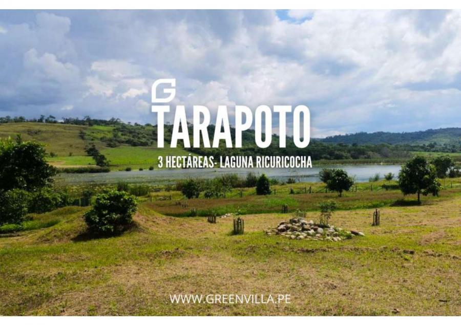 🚨🏡03 HECTÁREAS TARAPOTO🚨