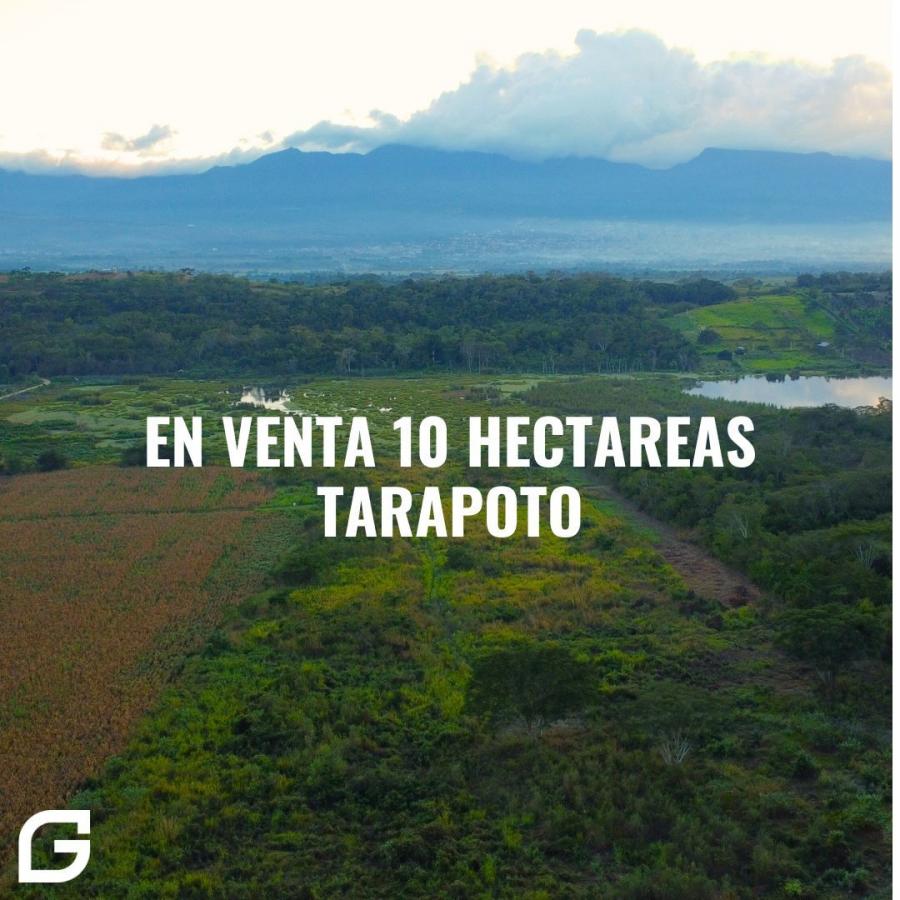 🚨EN VENTA 10 HECTÁREAS