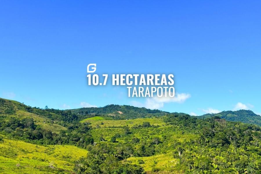 Foto Terreno en Venta en Cajamarca, Cajamarca - S/. 250.000 - TEV39551 - BienesOnLine