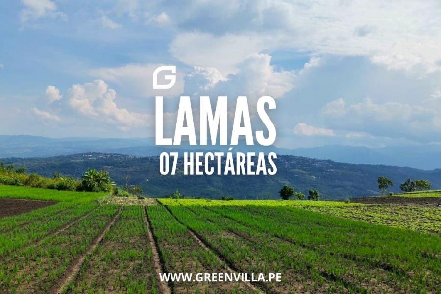 ✅🏡 7 HECTÁREAS - LAMAS✅