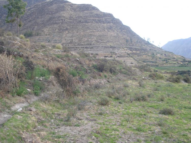 TERRENO AGRÍCOLA SANEADO IDEAL ALTAMENTE ORGÁNICO EN AREQUIPA - HUAMBO: S/.18.00M2