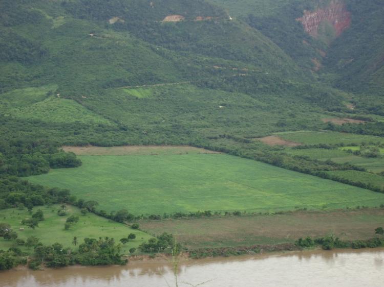 VENDO TERRENO AGRÍCOLA EN TARAPOTO