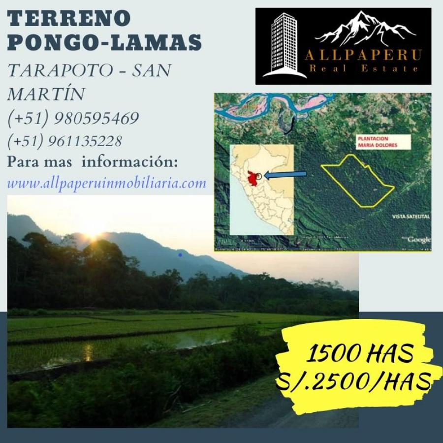 Foto Terreno en Venta en YARINA - PONGO DE CAYNARACHI, Tarapoto, San Martin - 1500 hectareas - S/. 3.750.000 - TEV30098 - BienesOnLine