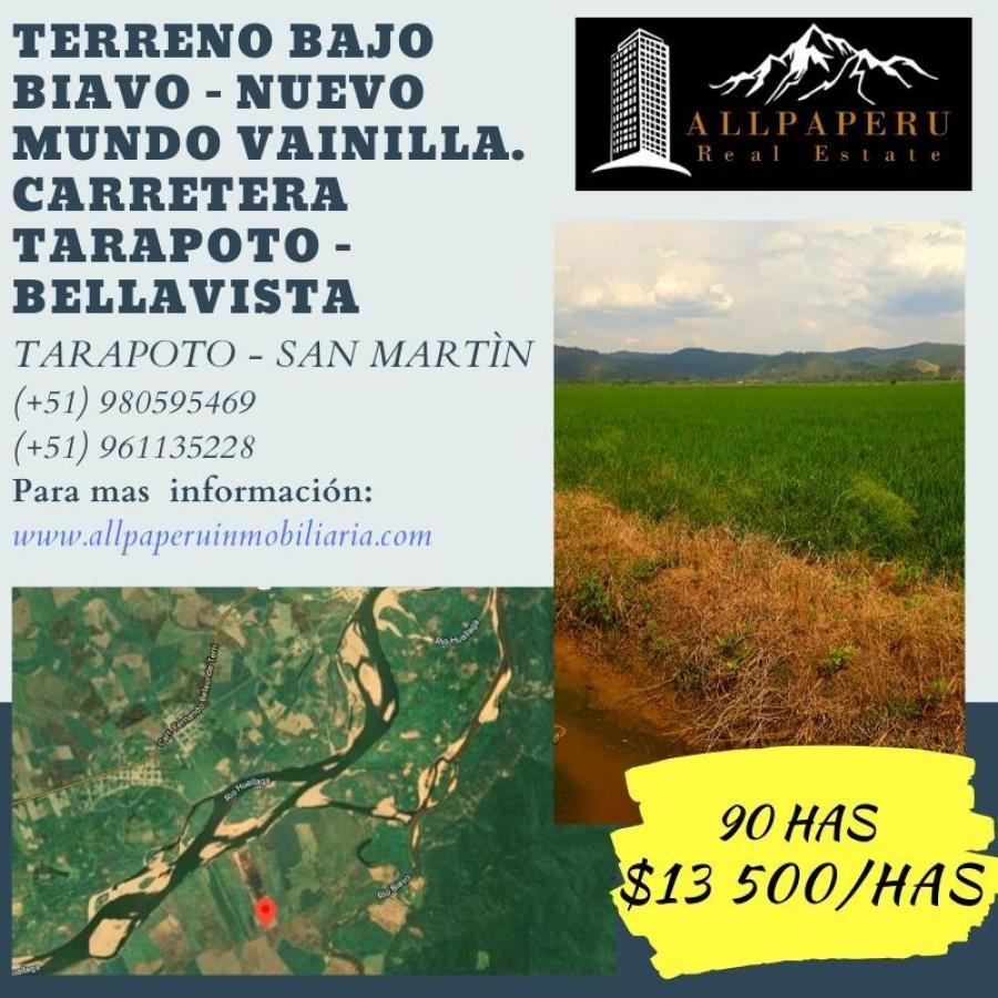 Foto Agricola en Venta en Bajo Biavo, Bellavista - 90 hectareas - U$D 13.500 - AGV31338 - BienesOnLine