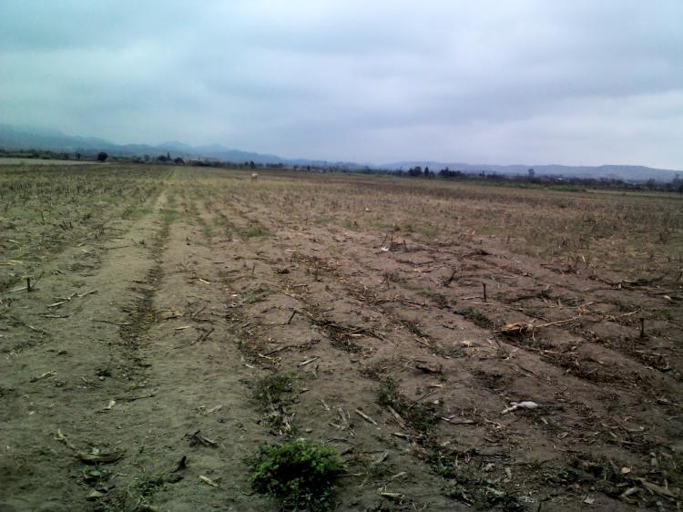 Foto Terreno en Alquiler en huaca chivato, Imperial, Canete - S/. 18.750 - TEA8727 - BienesOnLine