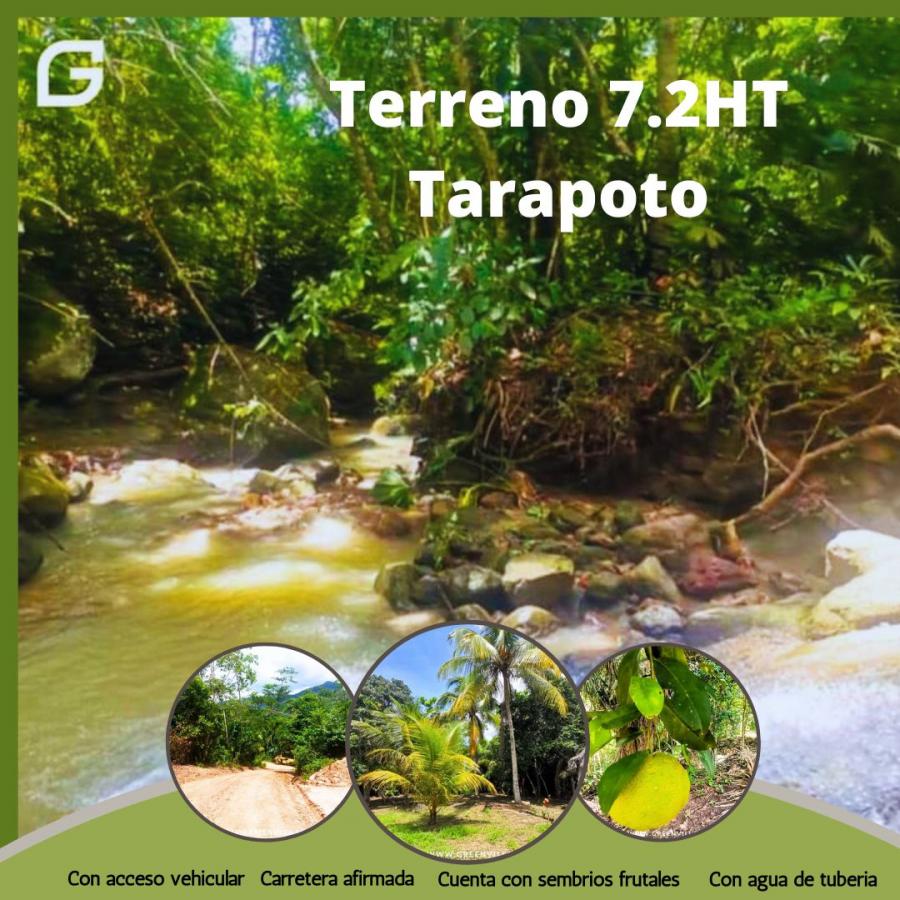 Foto Terreno en Venta en Tarapoto, San Martin - S/. 670.000 - TEV38467 - BienesOnLine