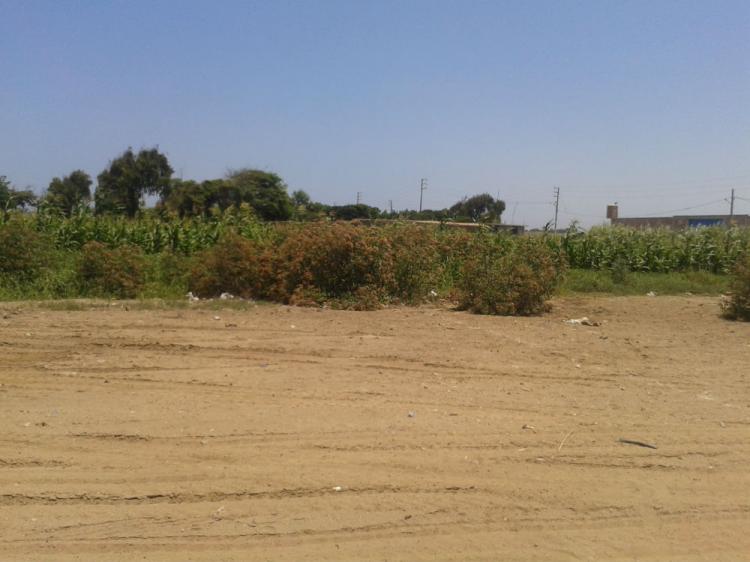 Foto Terreno en Venta en Moche, Trujillo - U$D 45.000 - TEV15982 - BienesOnLine