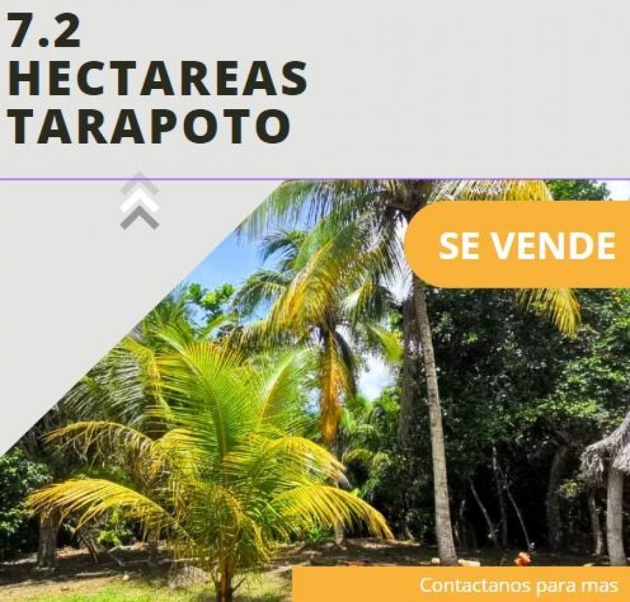 Foto Terreno en Venta en Tarapoto, Tarapoto, San Martin - S/. 670.000 - TEV38611 - BienesOnLine