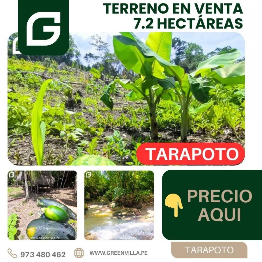 Foto Terreno en Venta en Tarapoto, San Martin - S/. 540.000 - TEV38940 - BienesOnLine
