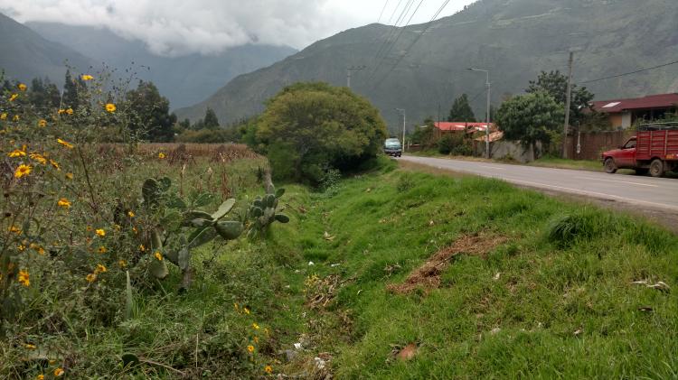 Foto Terreno en Venta en huayllabamba, huayoccari, Urubamba - 3 hectareas - U$D 85 - TEV25219 - BienesOnLine