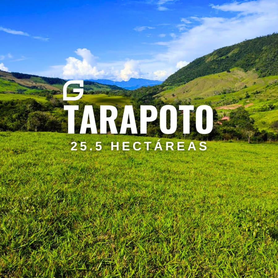 Foto Terreno en Venta en Tarapoto, Tarapoto, San Martin - S/. 230.000 - TEV38151 - BienesOnLine