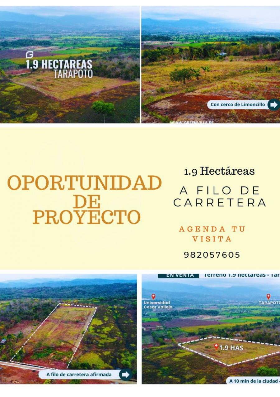 Foto Terreno en Venta en Tarapoto, Tarapoto, San Martin - S/. 615.000 - TEV40361 - BienesOnLine