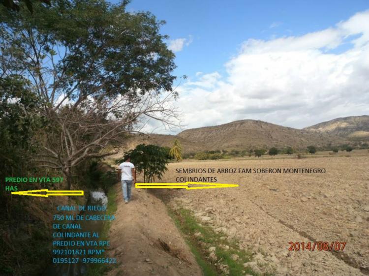 Foto Agricola en Venta en CHAMAYA, Jaen, Jaen - 597 hectareas - U$D 3.500 - AGV19630 - BienesOnLine