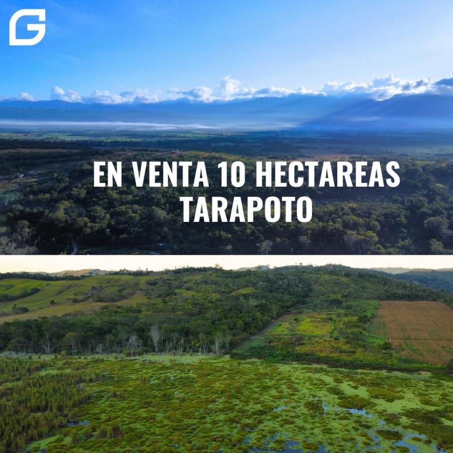 Foto Terreno en Venta en TARAPOTO, San Martin - 10 hectareas - S/. 1.200.000 - TEV39466 - BienesOnLine