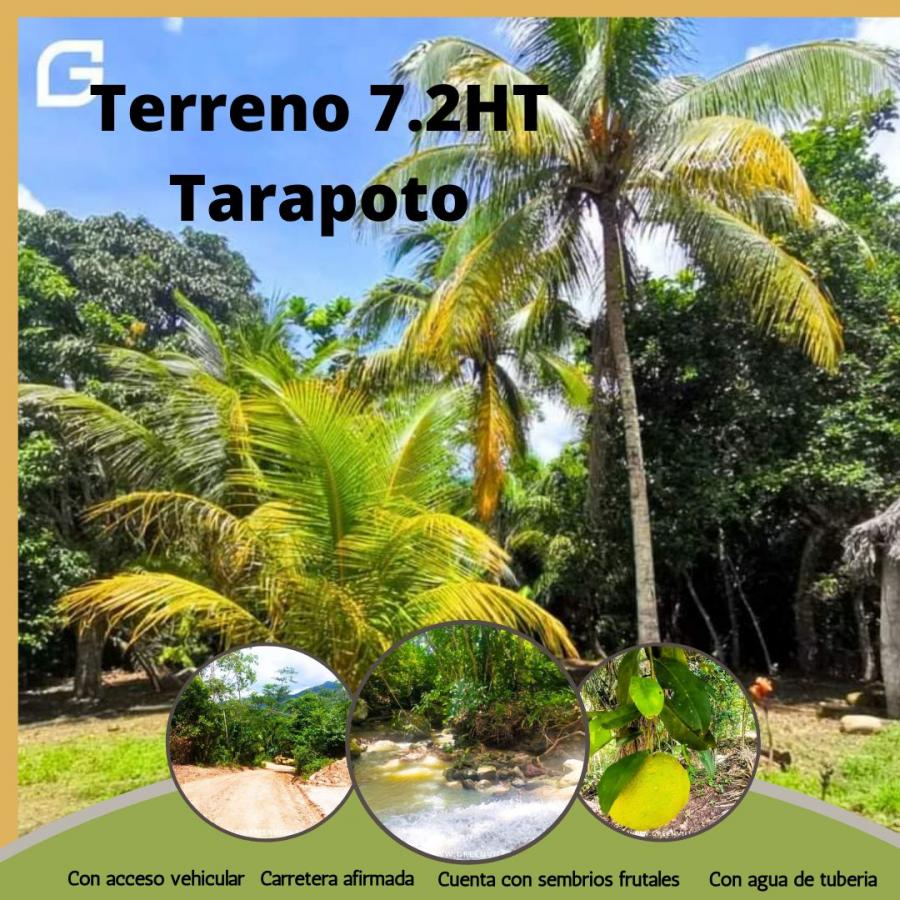 Foto Terreno en Venta en Tarapoto, San Martin - S/. 670.000 - TEV38464 - BienesOnLine