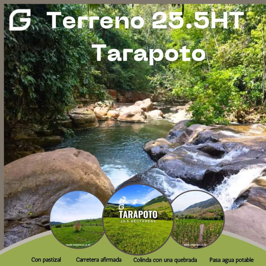 Foto Terreno en Venta en mamonoquihua, Tarapoto, San Martin - S/. 230.000 - TEV38462 - BienesOnLine