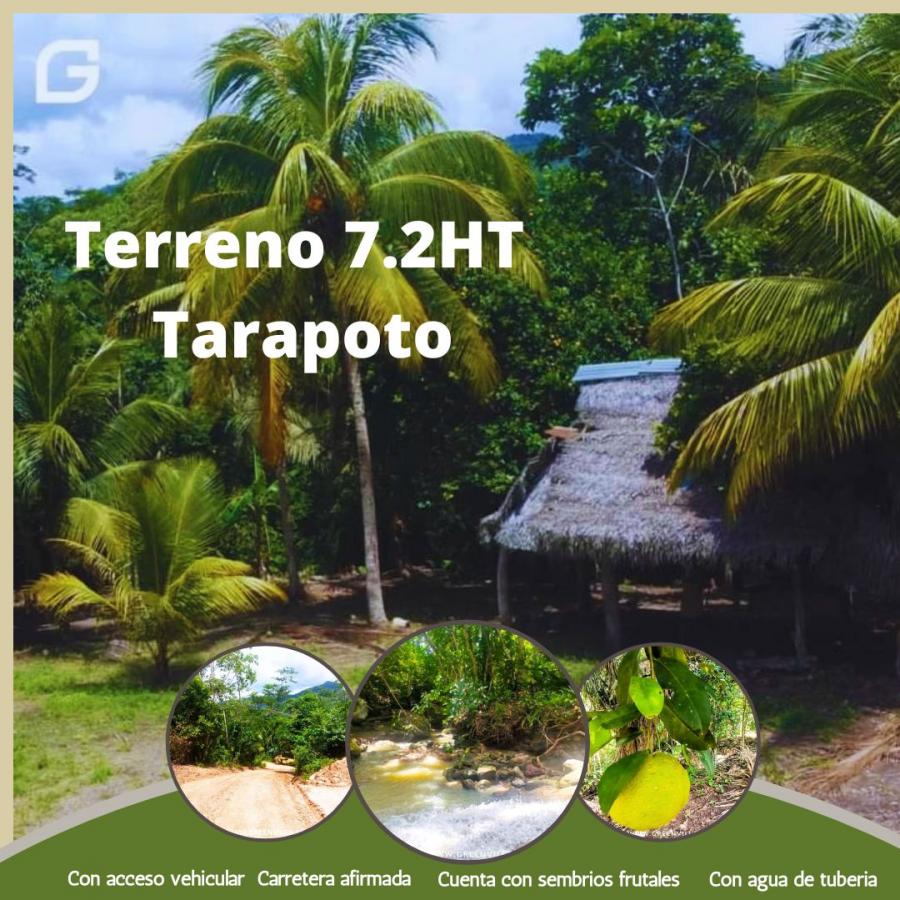 Foto Terreno en Venta en Tarapoto, San Martin - S/. 670.000 - TEV38465 - BienesOnLine