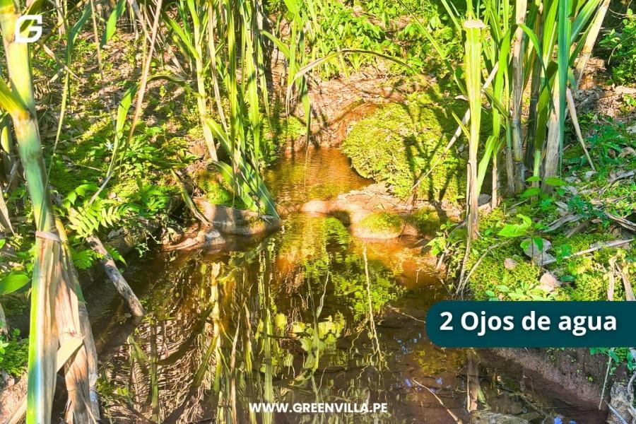 Foto Terreno en Venta en Tarapoto, TARAPOTO, San Martin - S/. 695.000 - TEV39582 - BienesOnLine