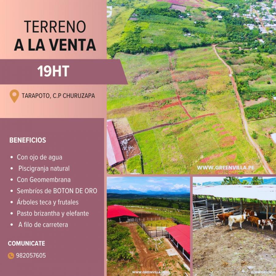 Foto Terreno en Venta en Tarapoto, San Martin - S/. 550.000 - TEV39382 - BienesOnLine