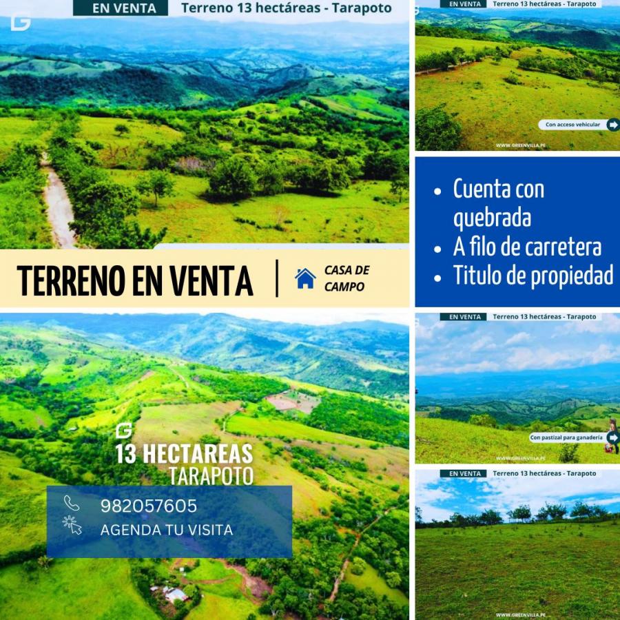 Foto Terreno en Venta en Tarapoto, San Martin - S/. 350.000 - TEV40327 - BienesOnLine