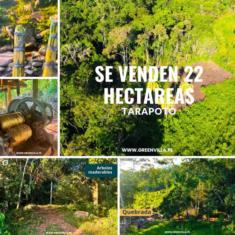 Foto Terreno en Venta en Tarapoto, San Martin - S/. 695.000 - TEV39712 - BienesOnLine