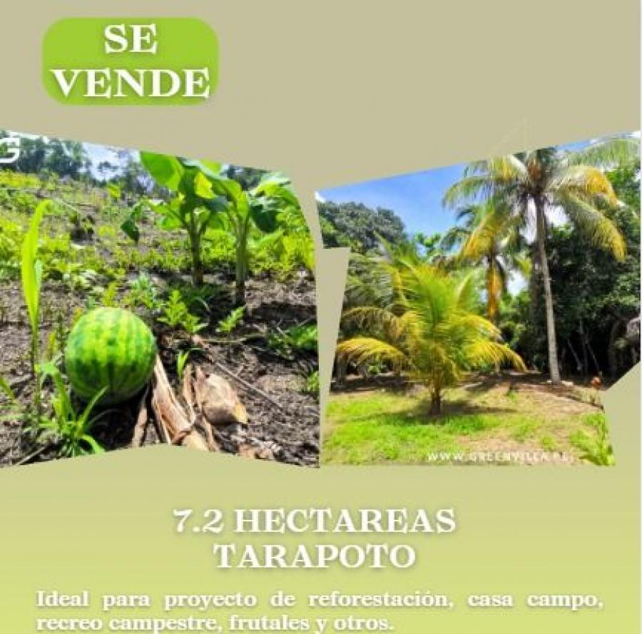 Foto Terreno en Venta en Tarapoto, Shapaja, San Martin - S/. 670.000 - TEV38651 - BienesOnLine