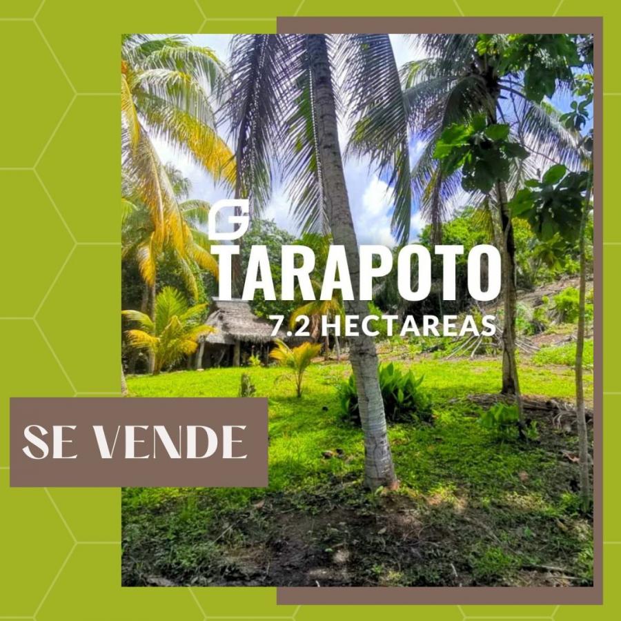 Foto Terreno en Venta en Tarapoto, San Martin - S/. 670.000 - TEV38505 - BienesOnLine