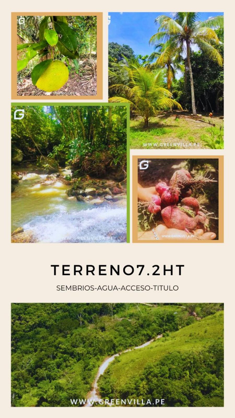 Foto Terreno en Venta en Tarapoto, Tarapoto, San Martin - S/. 543.000 - TEV39266 - BienesOnLine