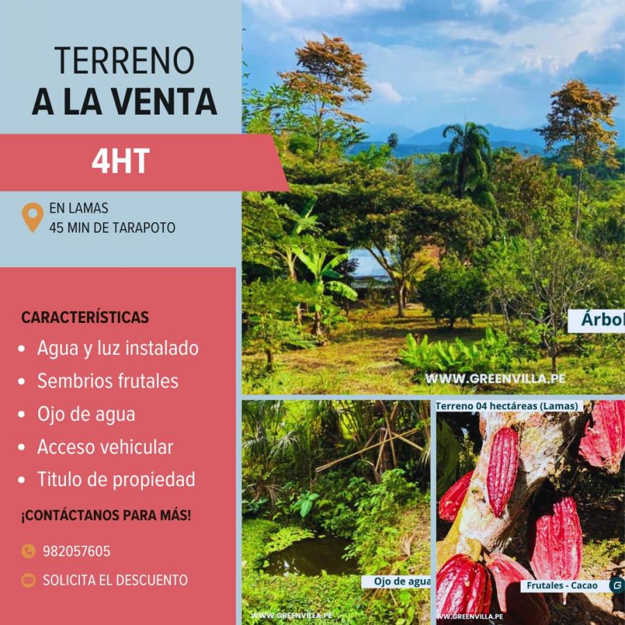 TERRENO CON SERVICIOS EN ZONA PRODUCTIVA!