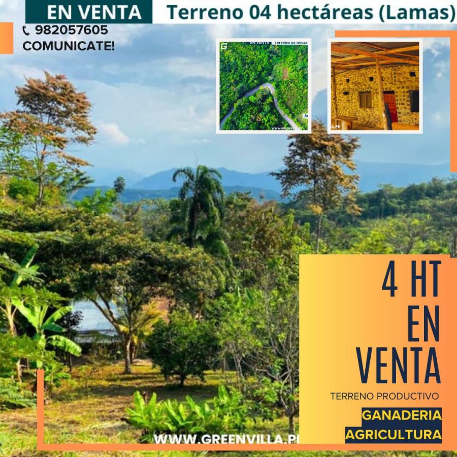 Foto Terreno en Venta en Tarapoto, Tarapoto, San Martin - 4 hectareas - S/. 330.000 - TEV40182 - BienesOnLine