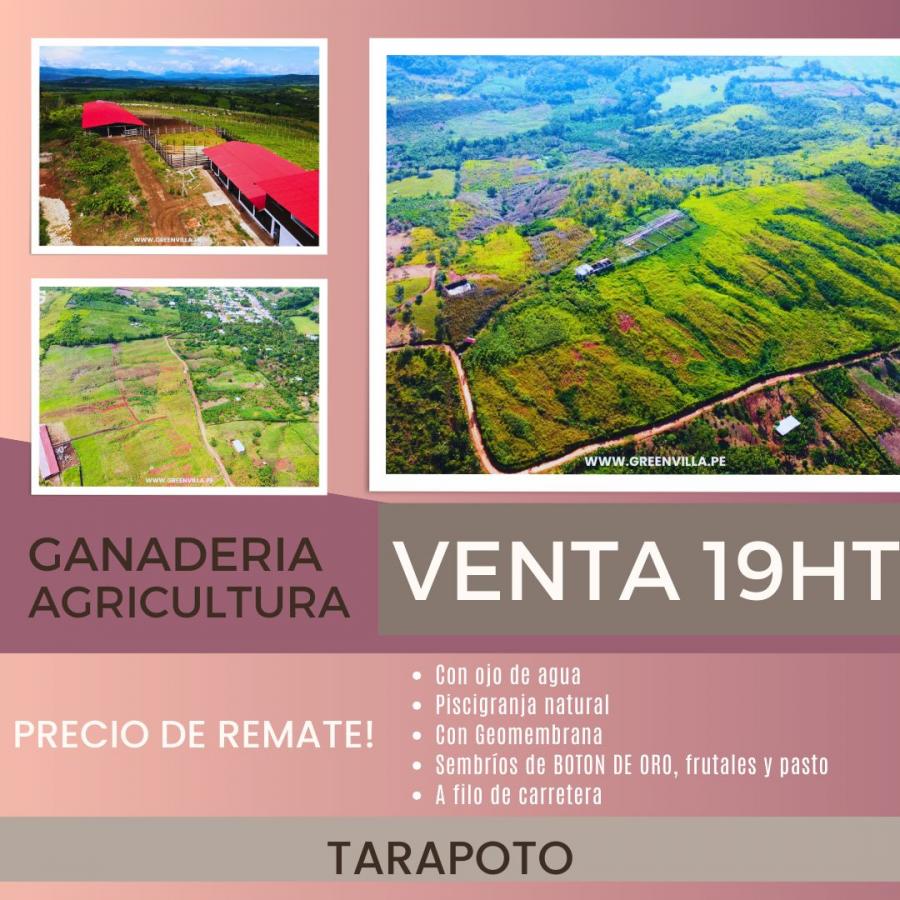 Foto Terreno en Venta en Tarapoto, San Martin - S/. 550.000 - TEV39378 - BienesOnLine