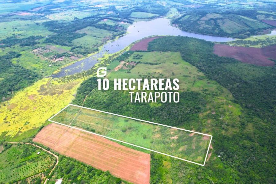 Foto Terreno en Venta en Tarapoto, Tarapoto, San Martin - S/. 1.200.000 - TEV40328 - BienesOnLine