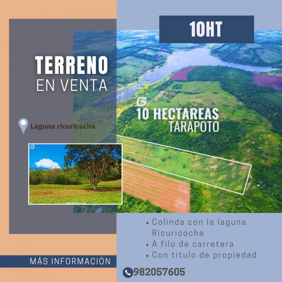 Foto Terreno en Venta en TARAPOTO, San Martin - S/. 1.200.000 - TEV39510 - BienesOnLine