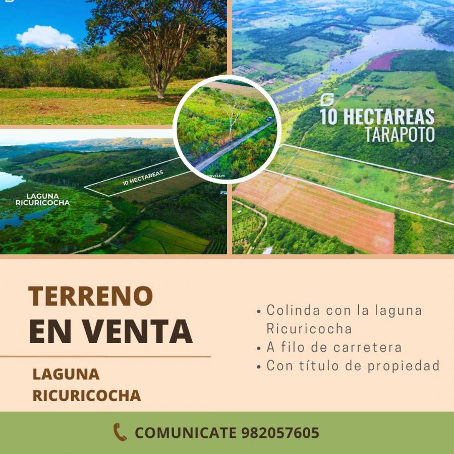 Foto Terreno en Venta en Tarapoto, San Martin - S/. 1.200.000 - TEV39993 - BienesOnLine