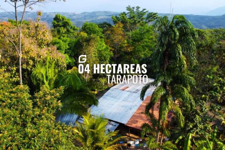 Foto Terreno en Venta en Tarapoto, San Martin - 4 hectareas - S/. 330.000 - TEV40117 - BienesOnLine