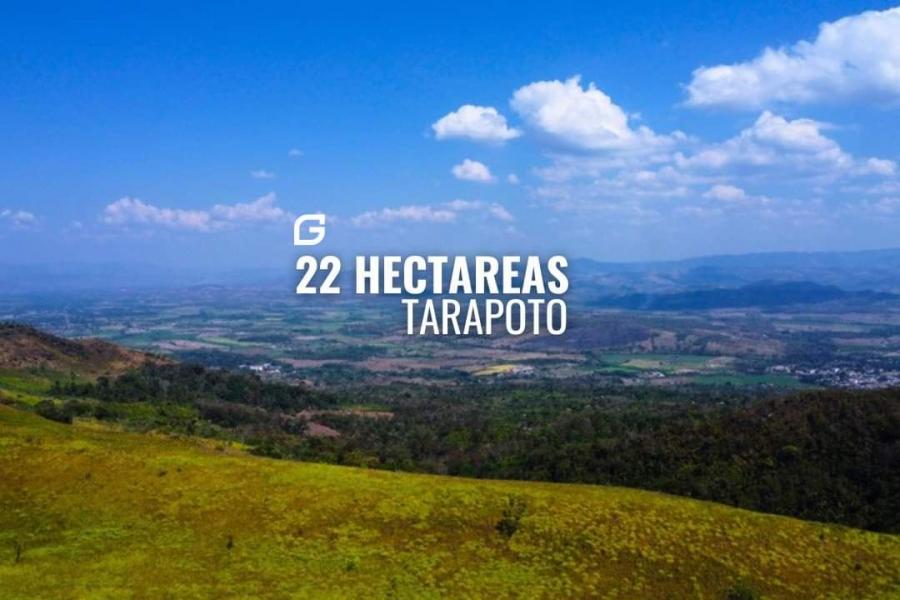 Foto Terreno en Venta en Tarapoto, San Martin - 22 hectareas - U$D 1.300.000 - TEV40119 - BienesOnLine