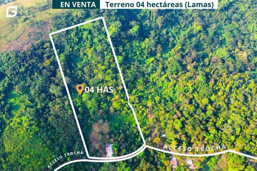 Foto Terreno en Venta en Tarapoto, San Martin - 4 hectareas - S/. 330.000 - TEV40118 - BienesOnLine