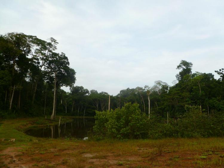 Terreno en Venta de 750 hectáreas Loreto, Iquitos