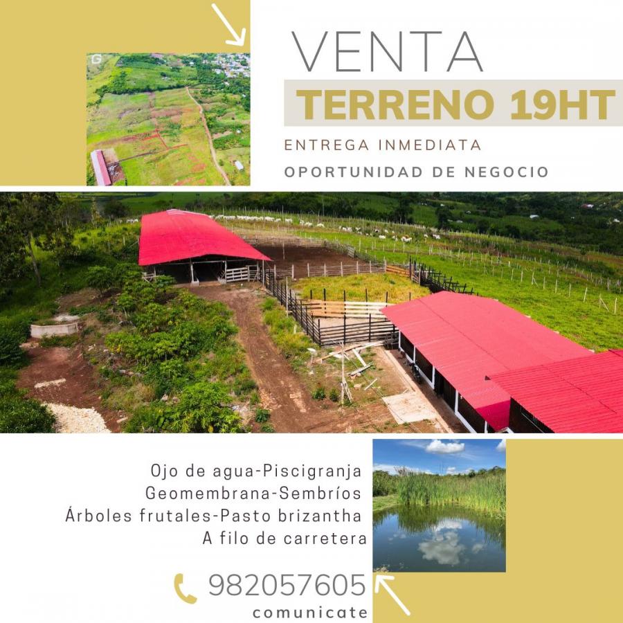 Foto Terreno en Venta en Tarapoto, San Martin - 19 hectareas - S/. 550.000 - TEV39471 - BienesOnLine