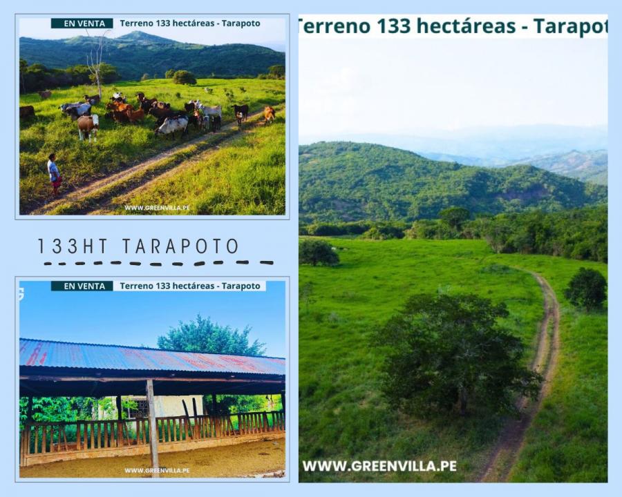 TERRENO GANADERO DE 133HT CON CARRETERA Y AGUA!