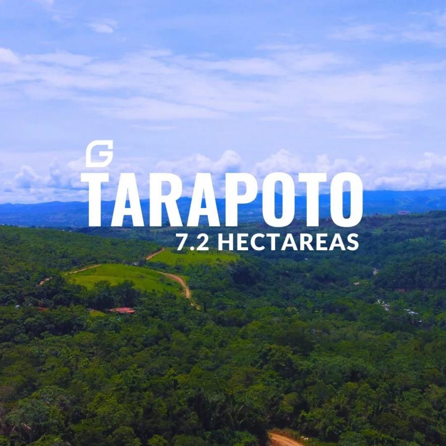 Foto Terreno en Venta en Tarapoto, San Martin - S/. 670.000 - TEV38417 - BienesOnLine