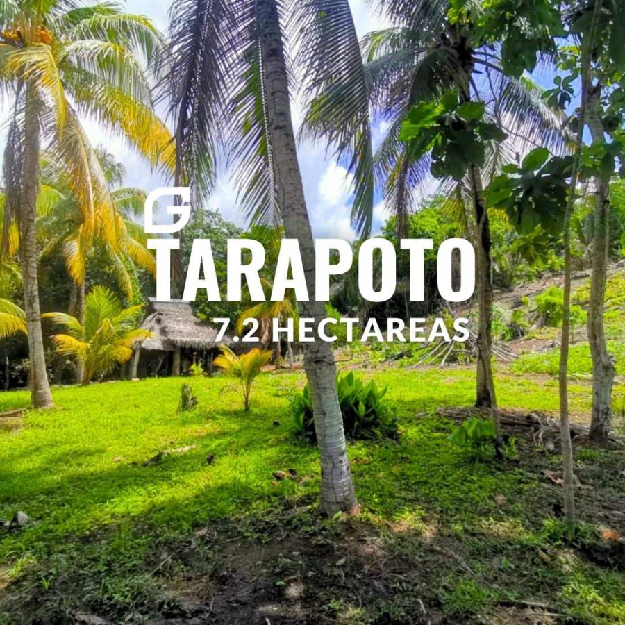 Foto Terreno en Venta en Tarapoto, San Martin - S/. 670.000 - TEV38396 - BienesOnLine