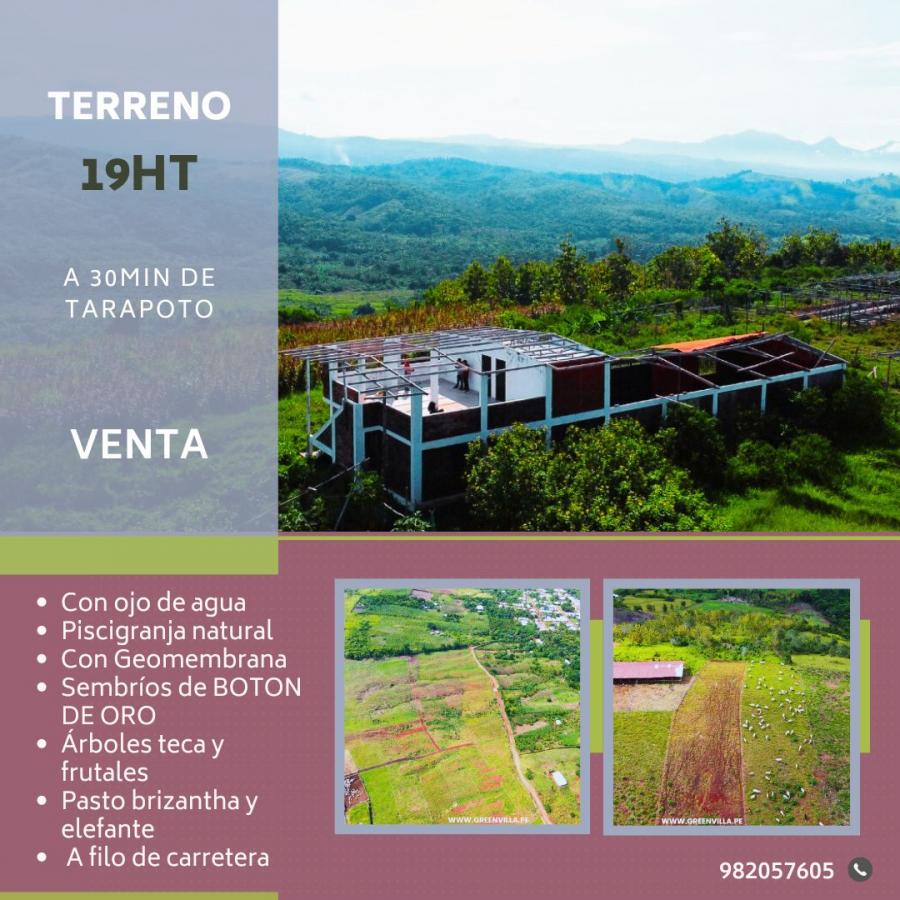 Foto Terreno en Venta en Tarapoto, San Martin - S/. 550.000 - TEV39428 - BienesOnLine
