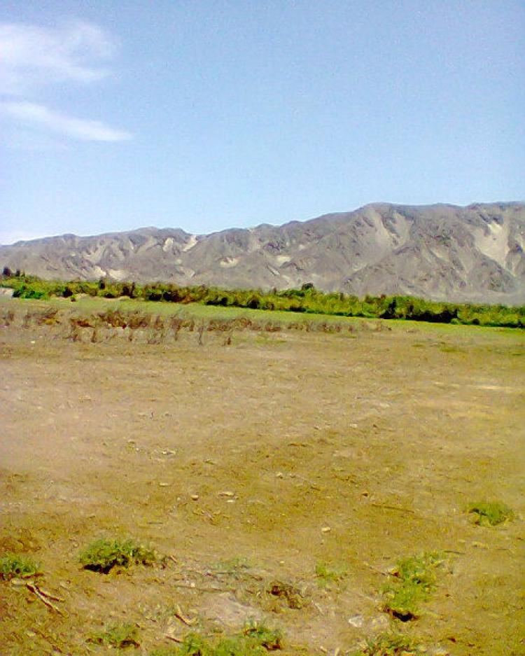 Foto Agricola en Venta en Chincha, Ica, Ica - U$D 32.000 - AGV13930 - BienesOnLine