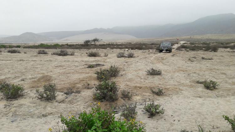 Foto Agricola en Venta en Huaral, Huaral - 5 hectareas - U$D 85.000 - AGV20224 - BienesOnLine