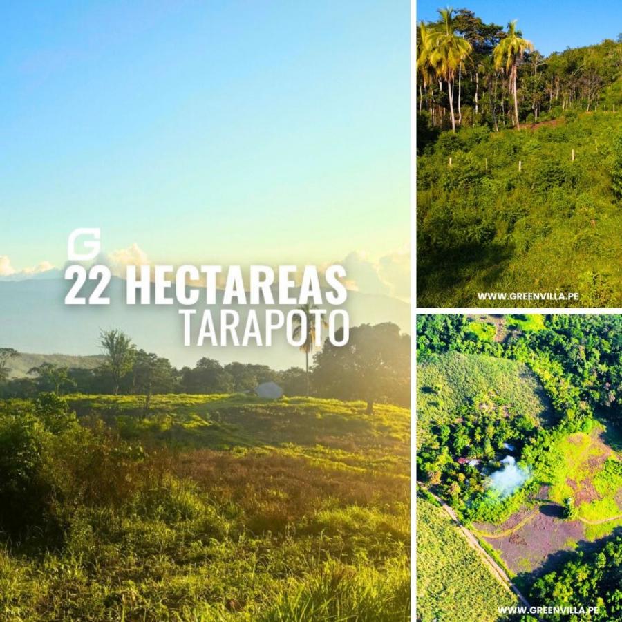 Foto Terreno en Venta en Tarapoto, San Martin - S/. 620.000 - TEV39568 - BienesOnLine