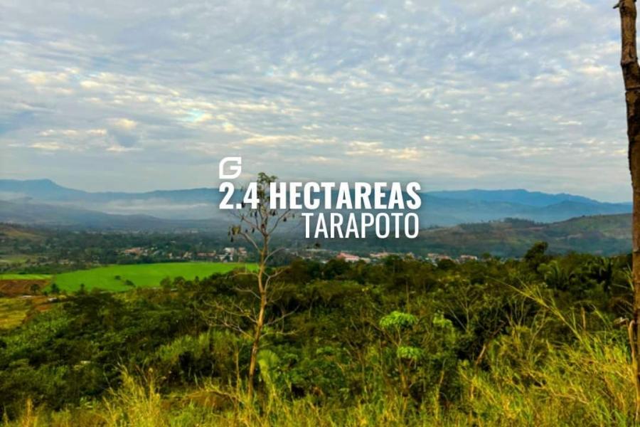 Vendo 2.4 hectáreas en Tarapoto