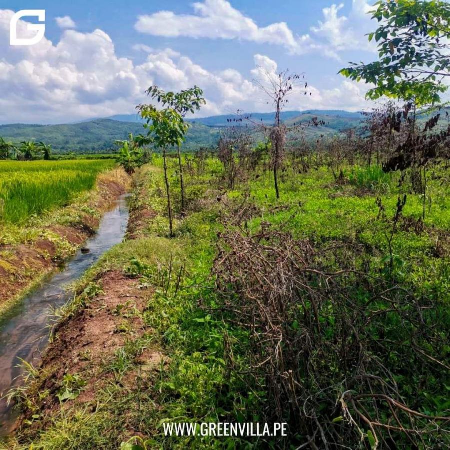 Foto Terreno en Venta en Tarapoto, San Martin - S/. 110.000 - TEV37922 - BienesOnLine